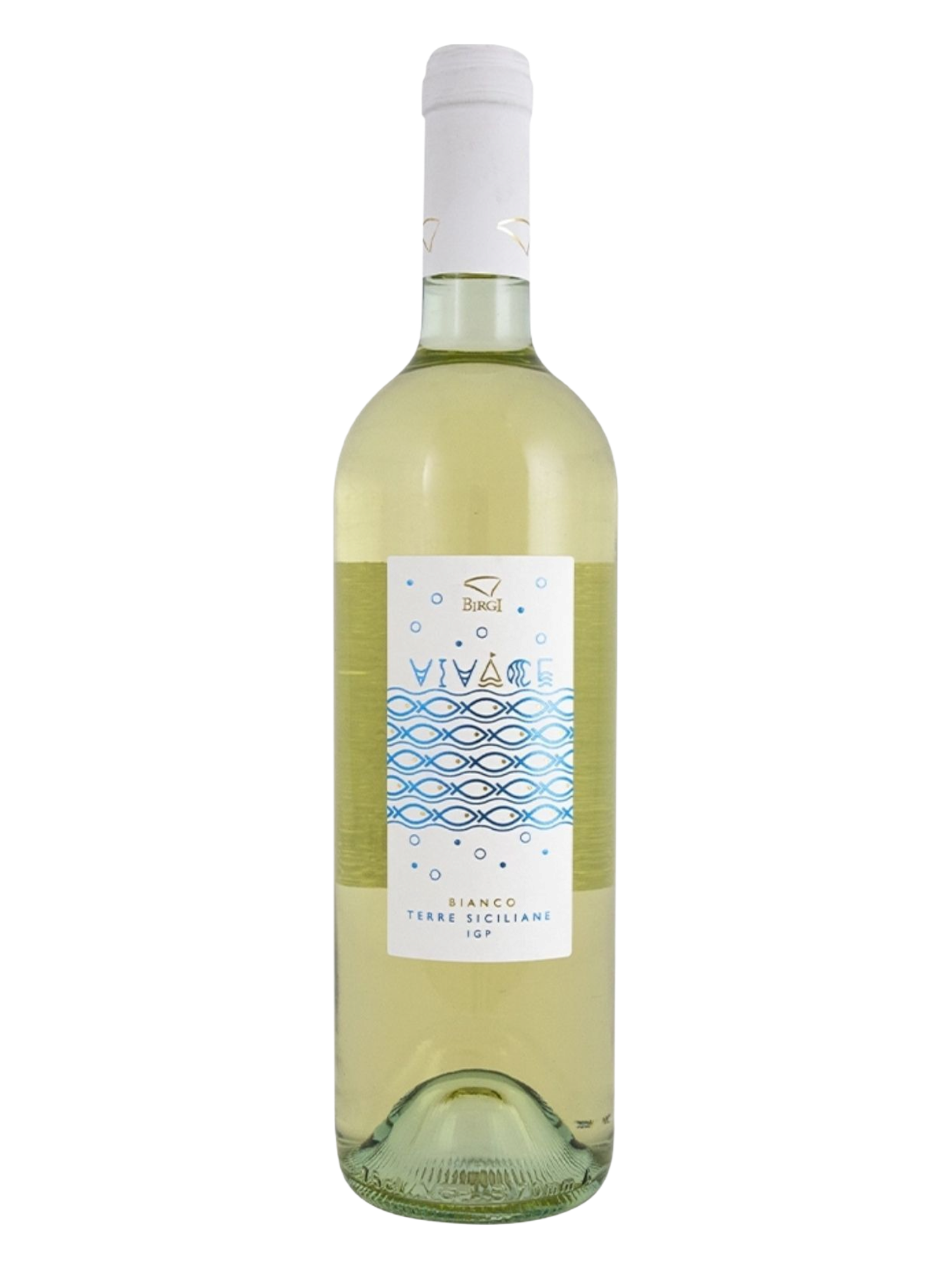 Vivace Bianco 2024